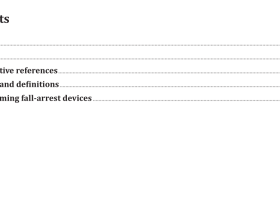 AS NZS 1891.3 pdf download